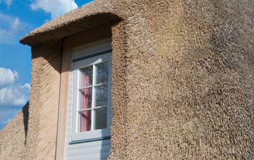 Aberlerry thatch roof disadvantages